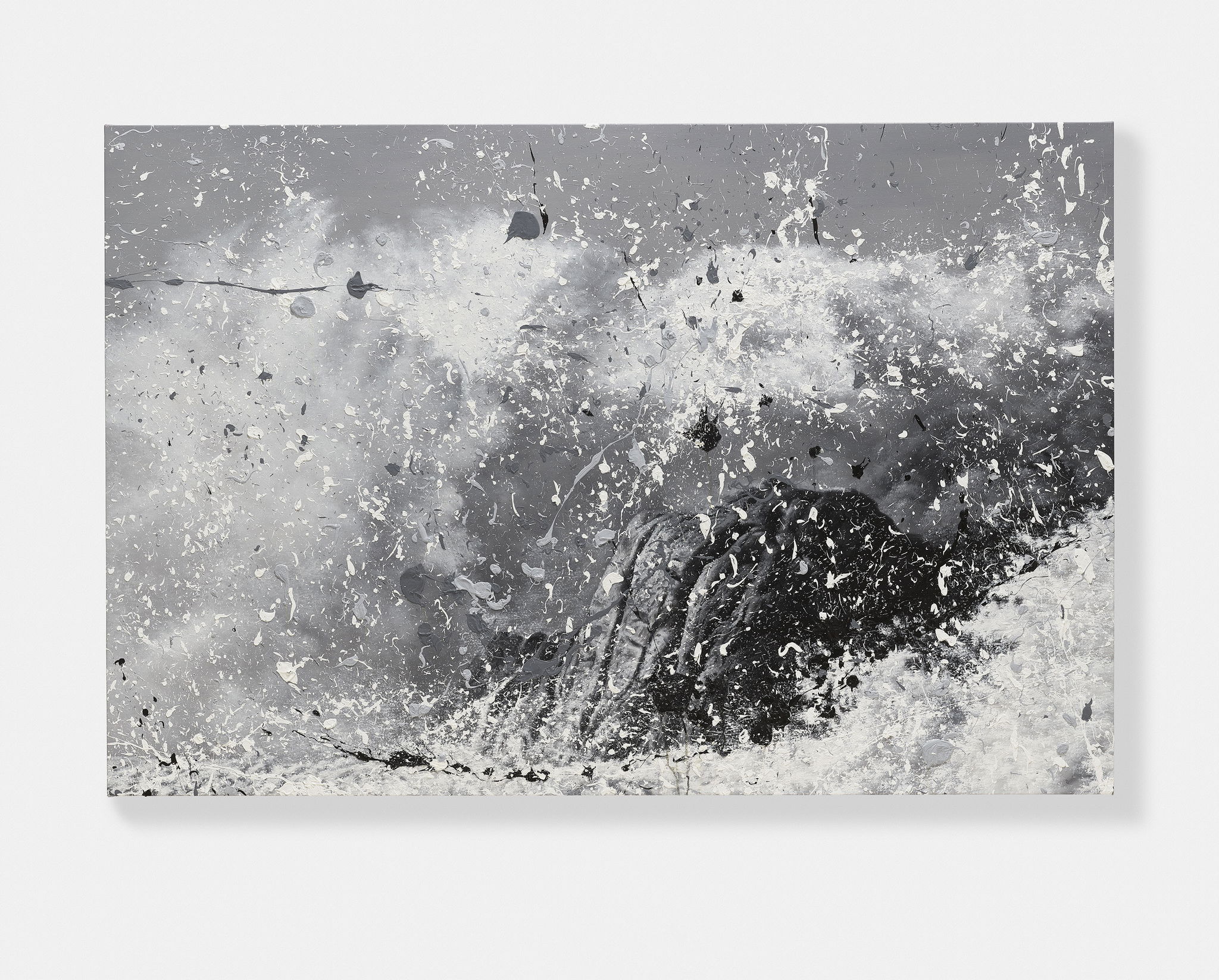 Chinook 1 main image