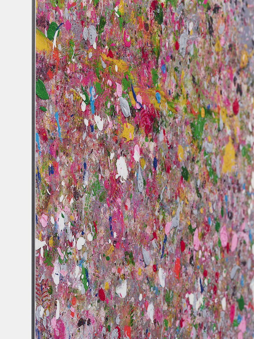 Studland Bay image #4