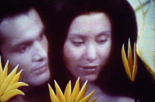 Overexposed: Art, Technology, and the Body at the Museum of the Moving Image
