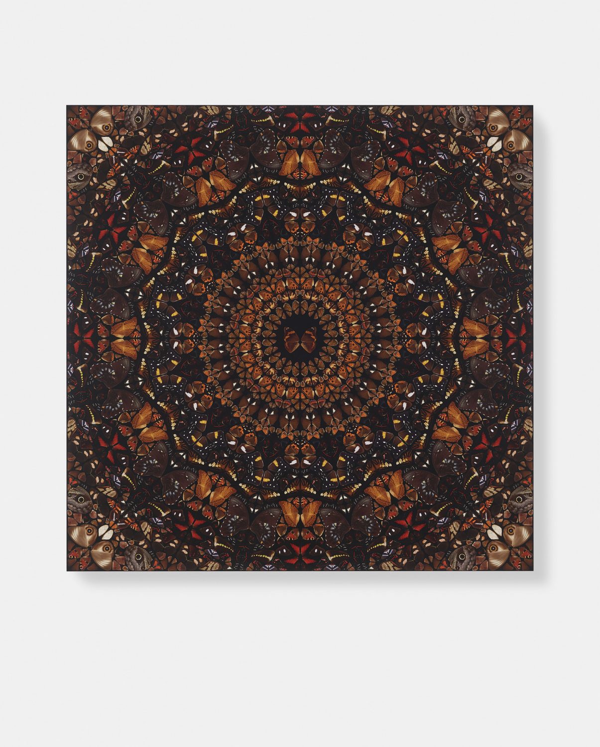 Earth image #1 main image