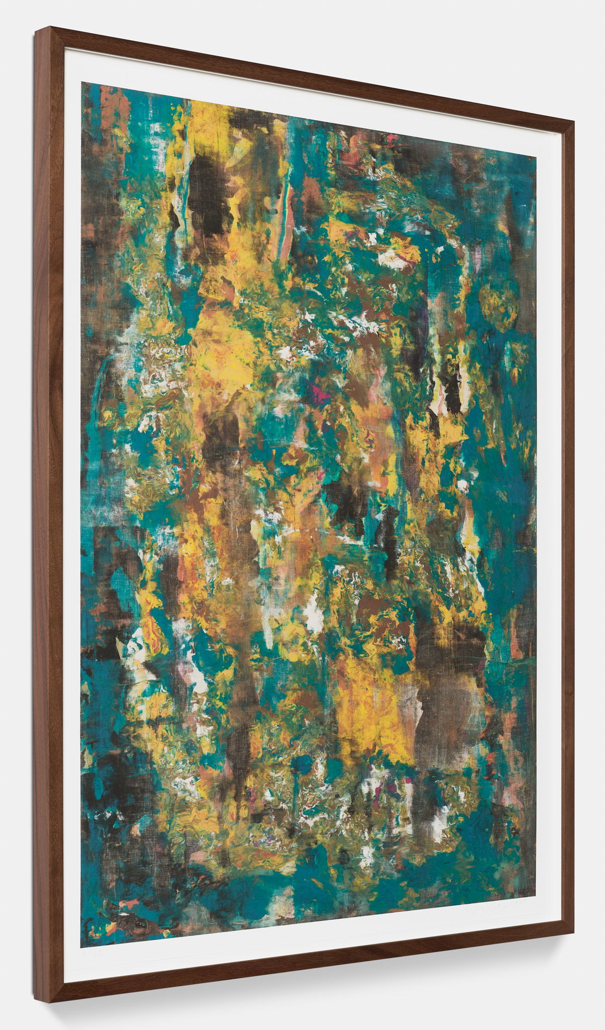 Proteus XIV image #5