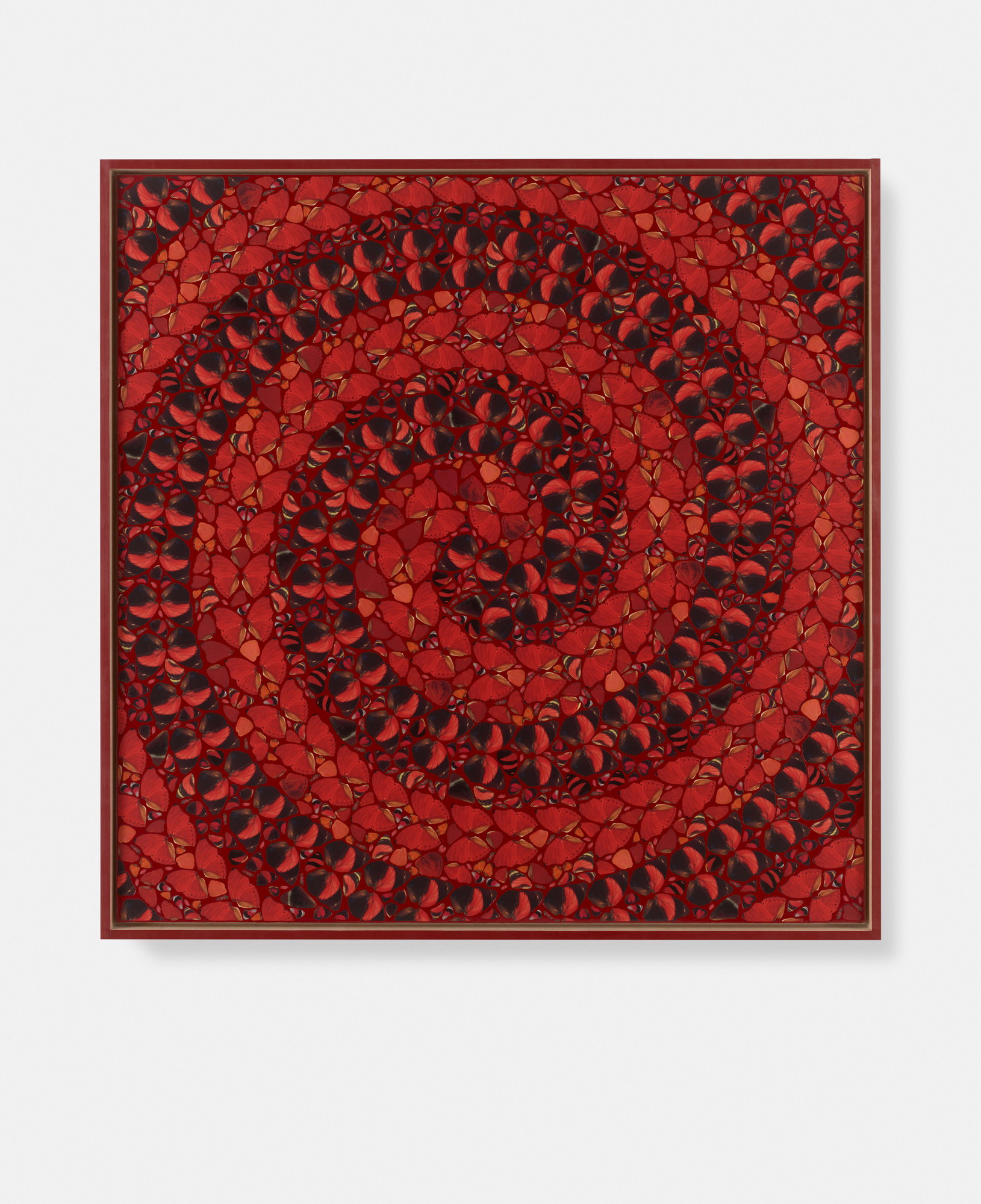 Elizabeth / Zoe / Eudocia / Irene / Cixi 3