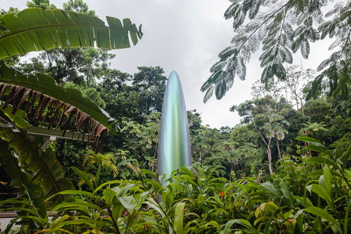 Puerto Rico’s National Forest Becomes a Living Laboratory for Art and Ecology