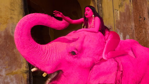 The Photographer Behind the ‘Pink’ Elephant Explains Art Project