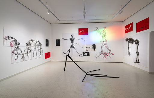 Photo reportage from the exhibition 'Dreams of the Living and Delusions of the Dead. Weapons and Shelters' by Jurga Barilaitė at the Radvila Palace Museum of Art