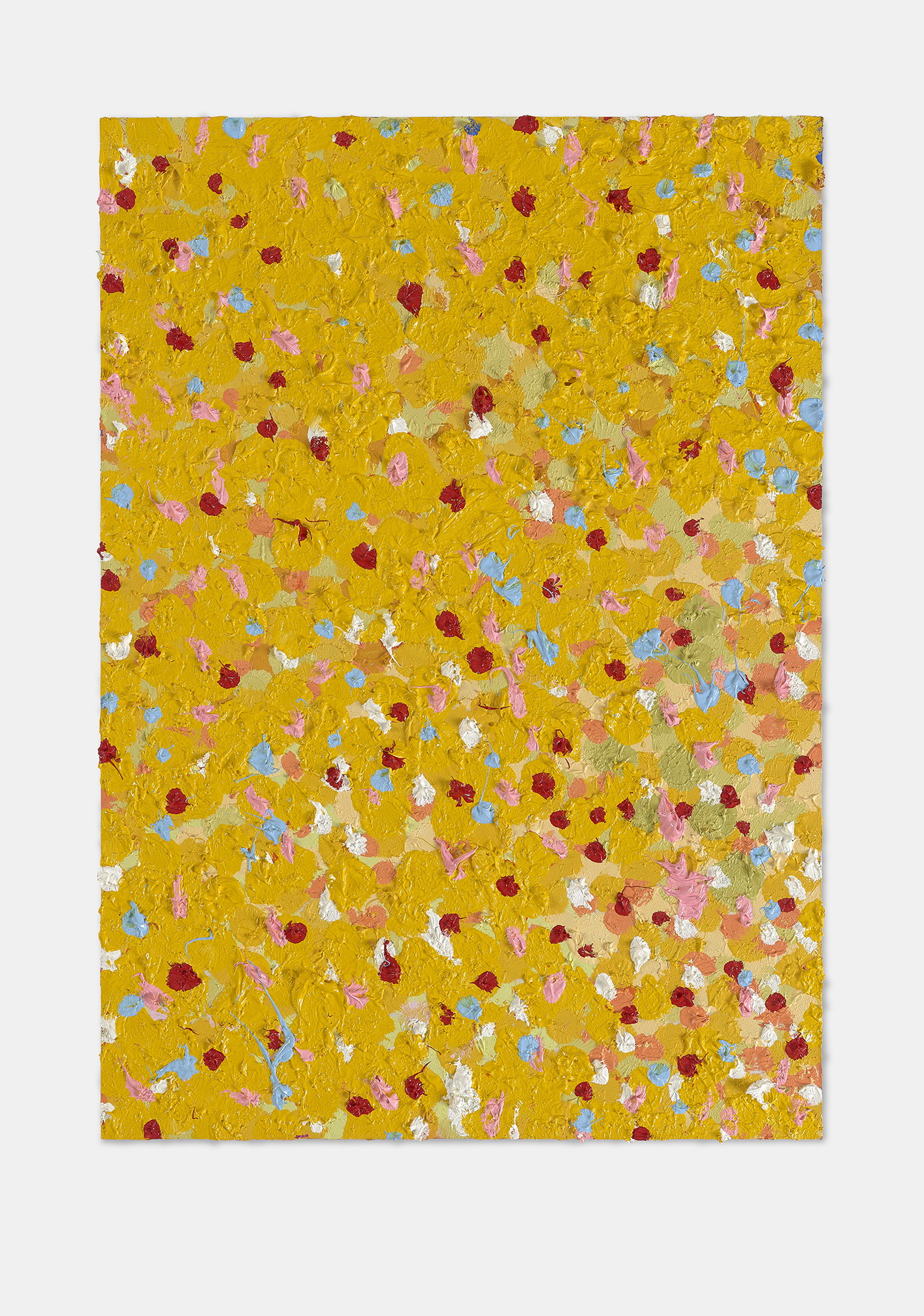 Funny Veil 1 main image