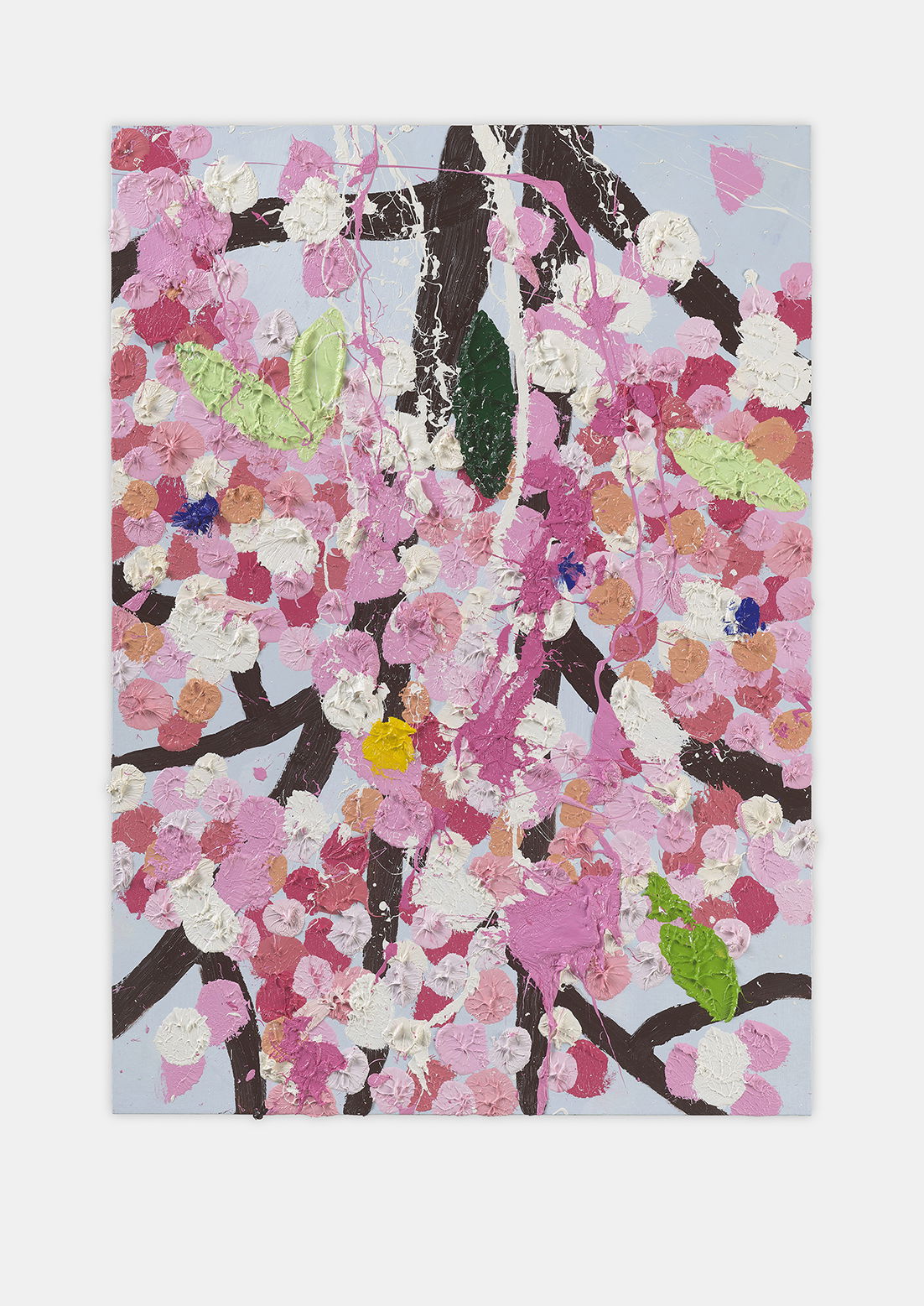 Honoured Blossom 1 main image