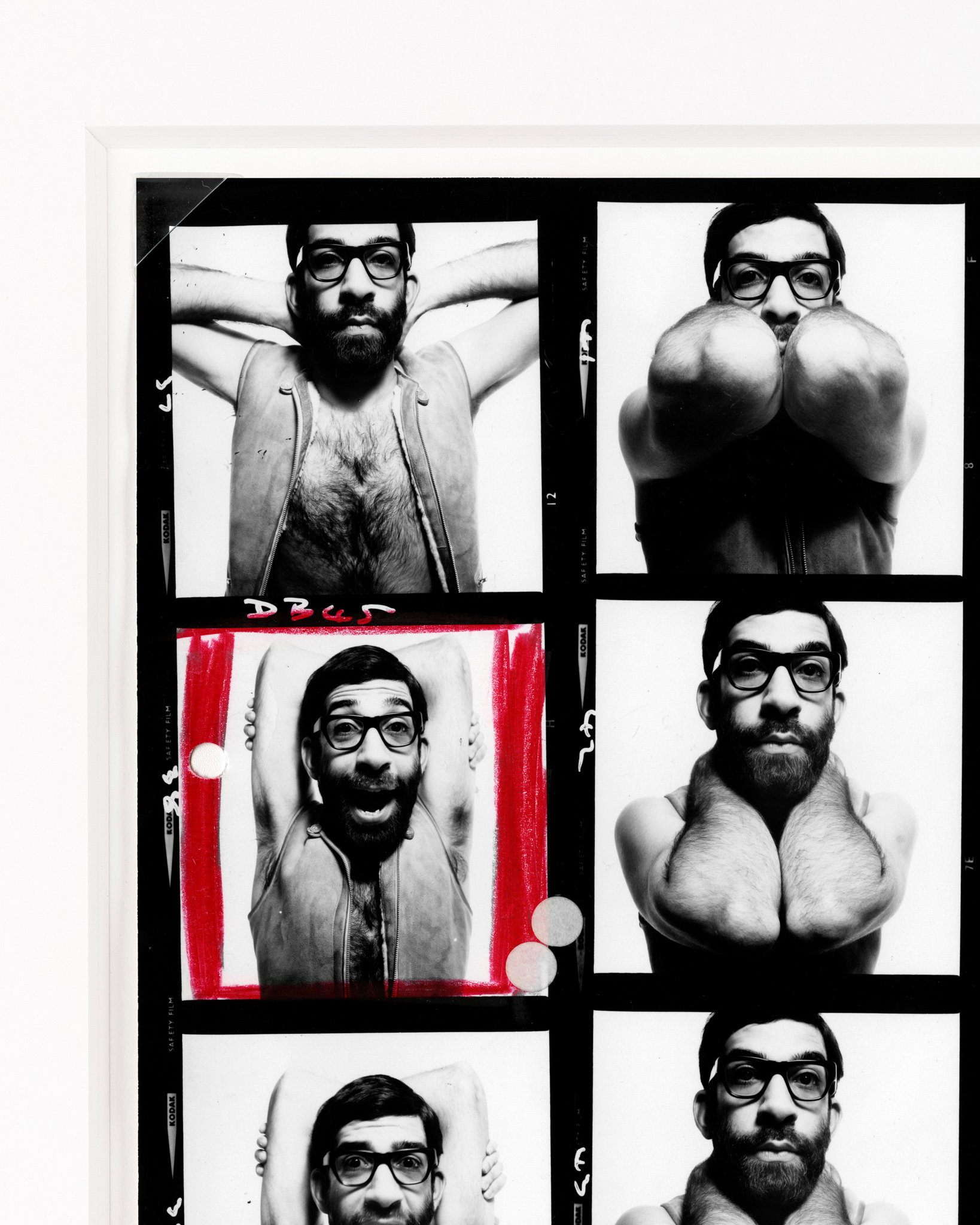 Max Maxwell 2