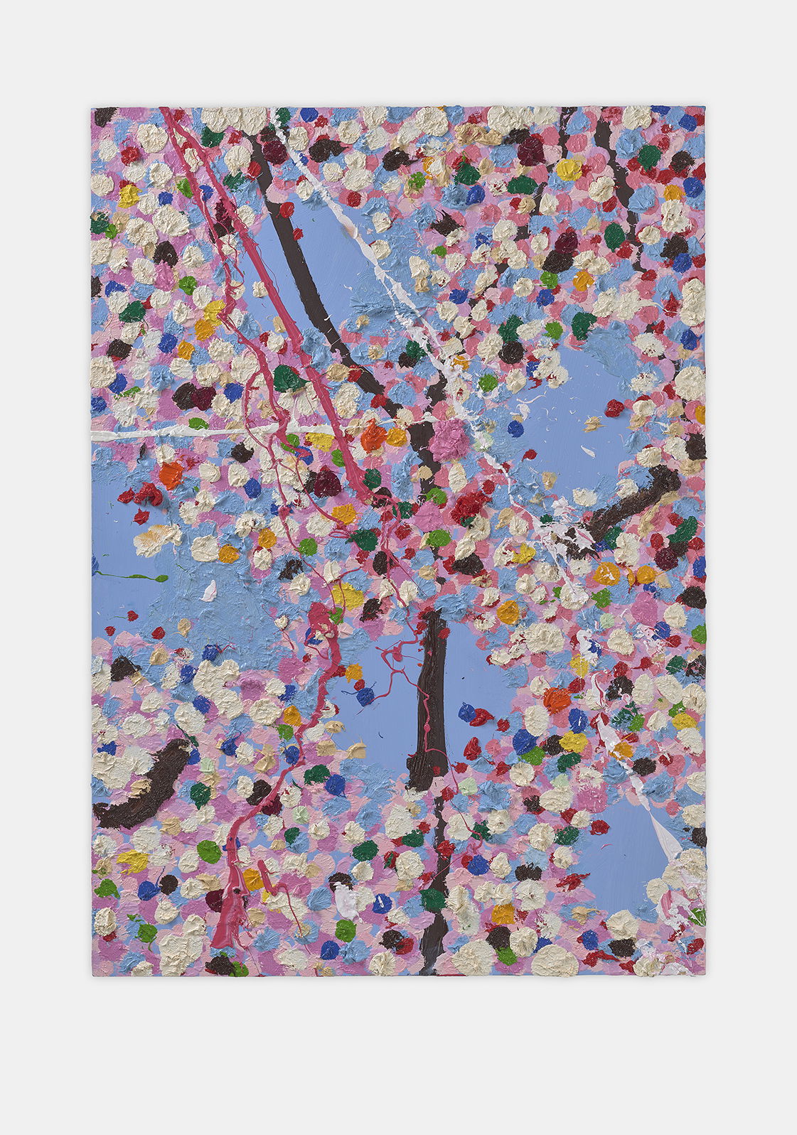 Illustrious Blossom 1 main image