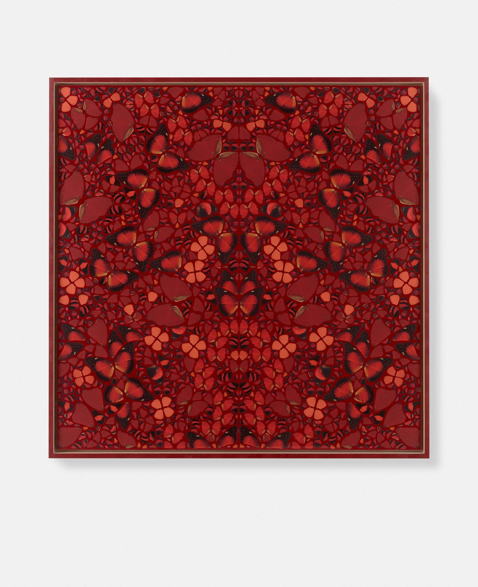 Elizabeth / Zoe / Eudocia / Irene / Cixi 6