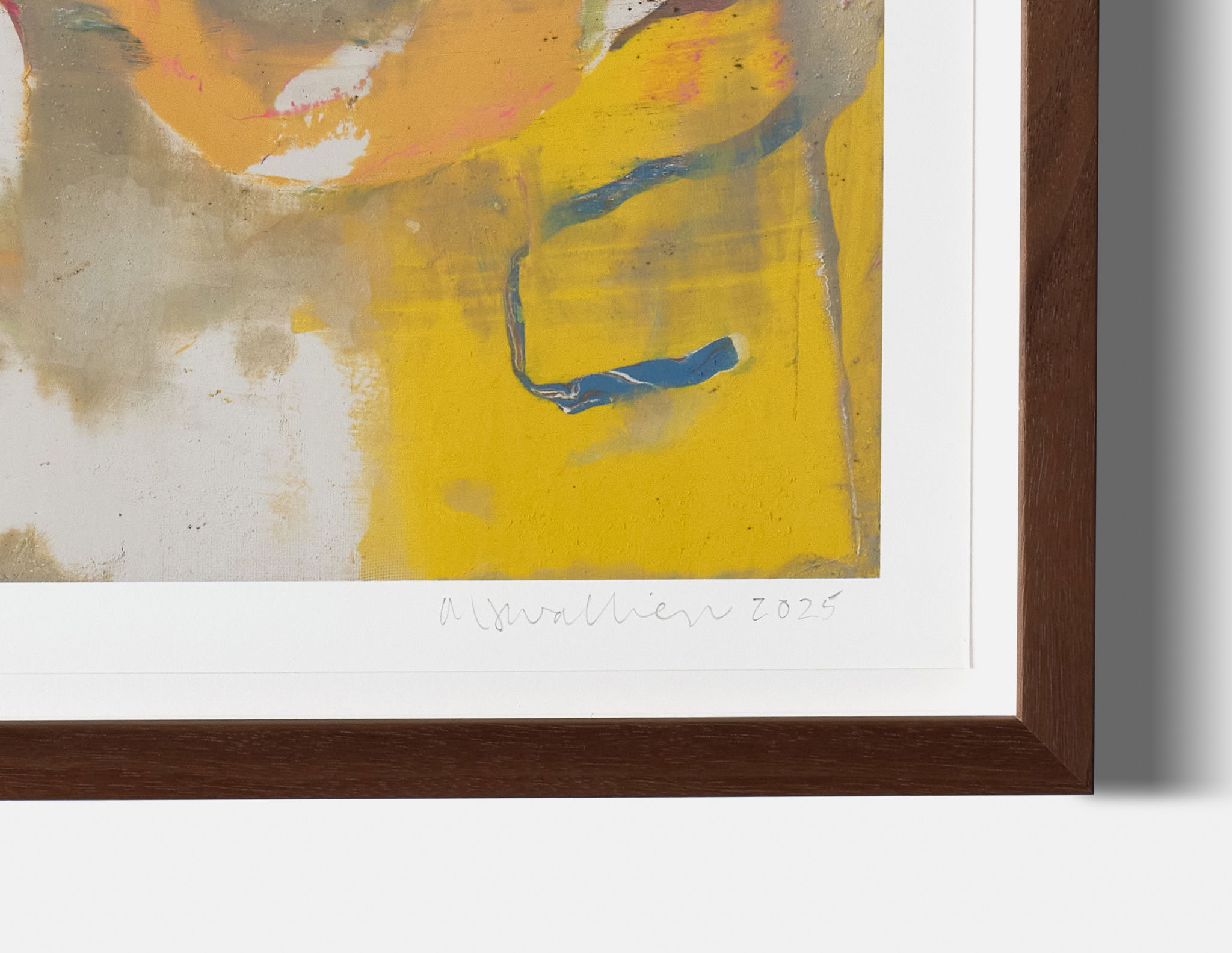 Proteus XVIII image #2