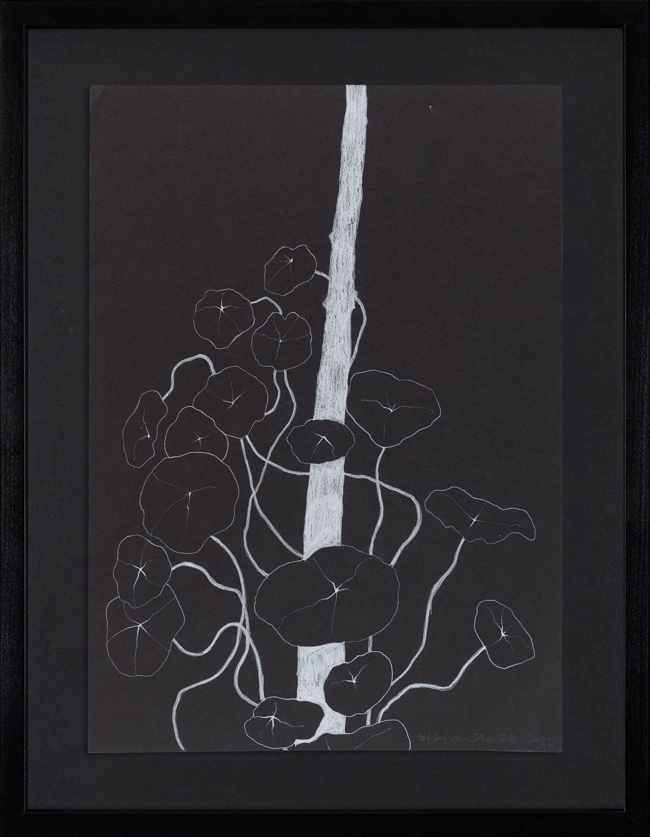 Peel Cottage Garden 1 main image