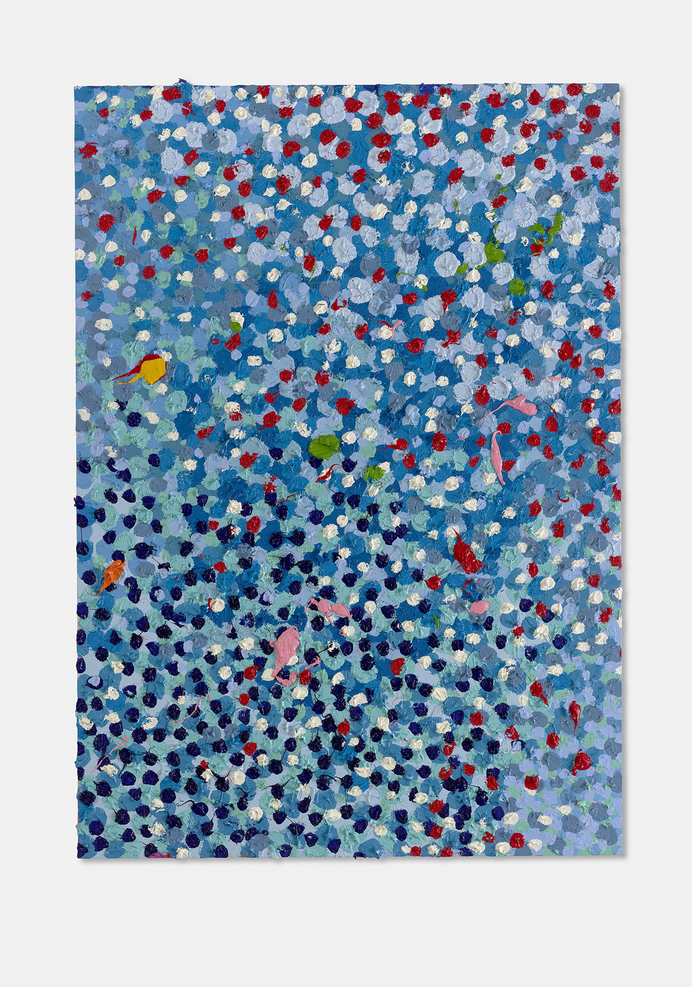 Credible Veil 1 main image