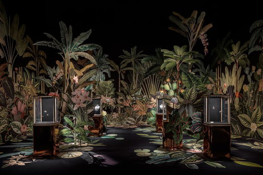 Step Into the Wild with Cartier in Miami