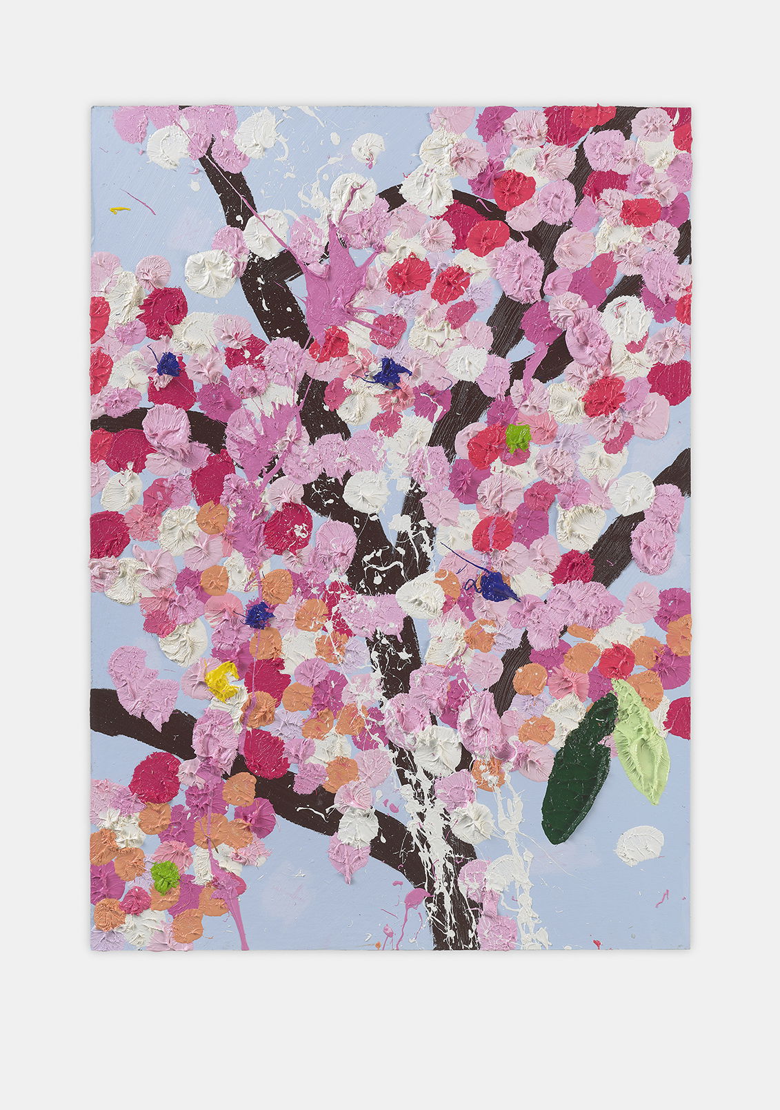 Marvels Blossom 1 main image